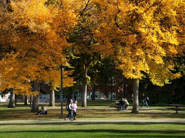 Forever Green and Gold | University of Alberta