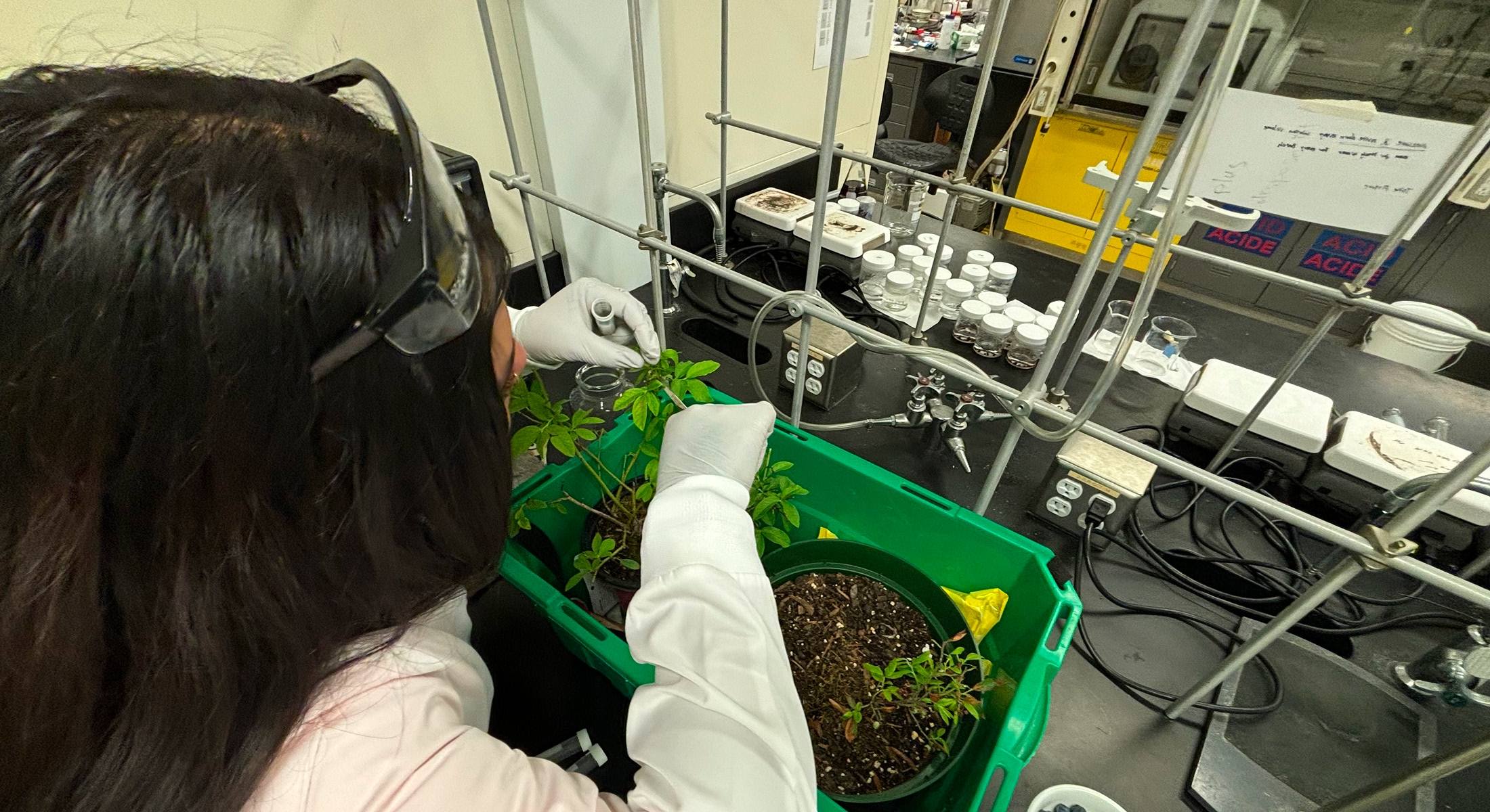 Women taking lab samples